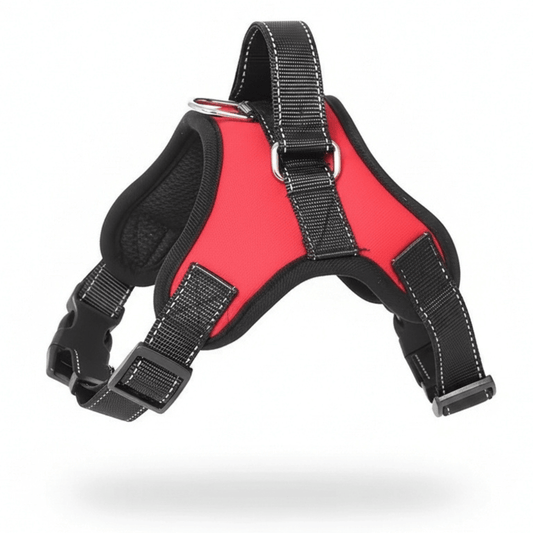 Adventure Dog Harness | Breathable Mesh with Handle for Comfortable Walks