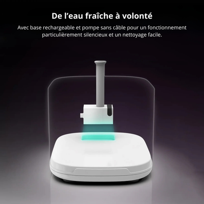 Fontaine à eau 2.5L pour chat