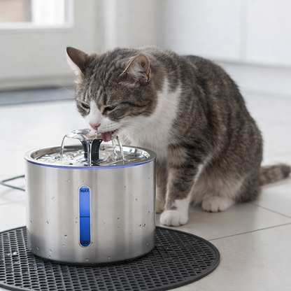 Fontaine à eau chat Inox 2,5L silencieuse