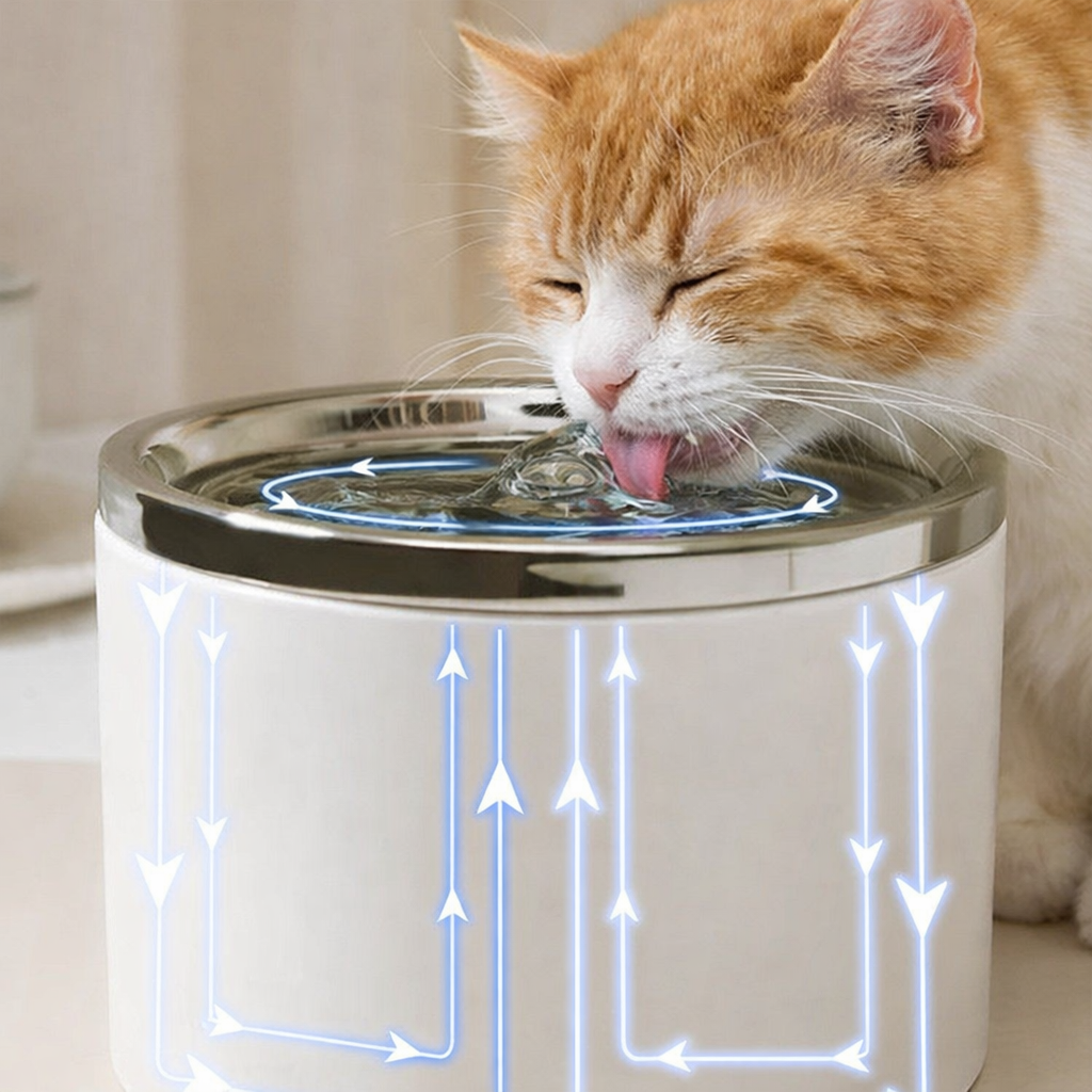 Fontaine à eau en Céramique Ultra Silencieuse 1L