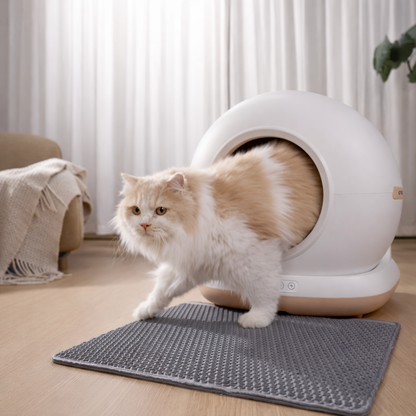 Clean Paw - Litière automatique pour chat