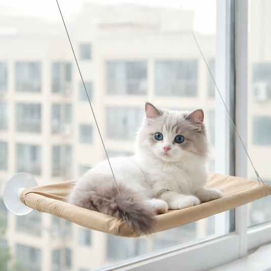 Hamac de fenêtre pour chat