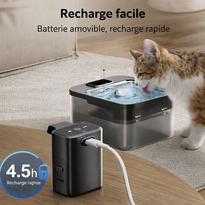 Fontaine à Eau pour Chat — Silencieuse & Filtrante