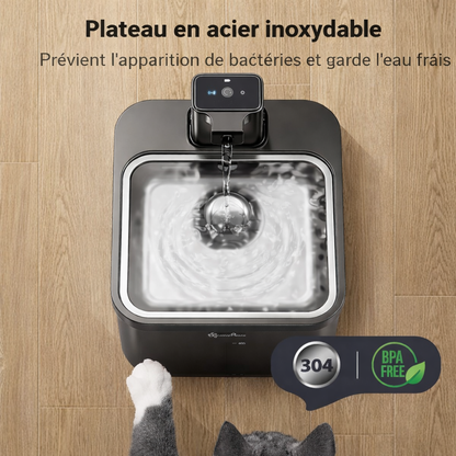 Fontaine à Eau pour Chat — Silencieuse & Filtrante