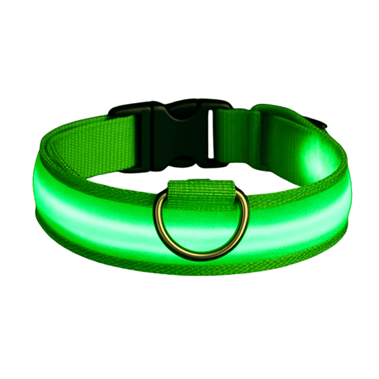 GlowBuddy | LED Dog Collar with Adjustable Light Modes