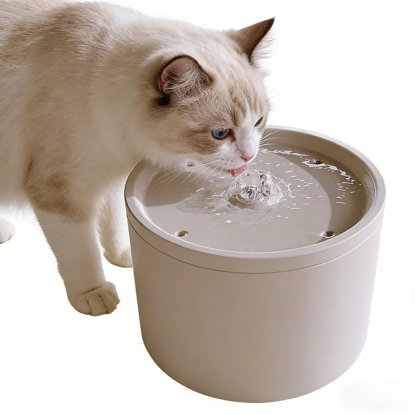 Fontaine à eau en Céramique Ultra Silencieuse 1L