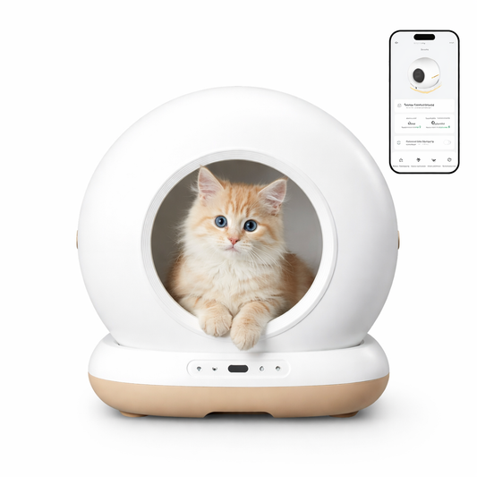 Clean Paw - Litière automatique pour chat