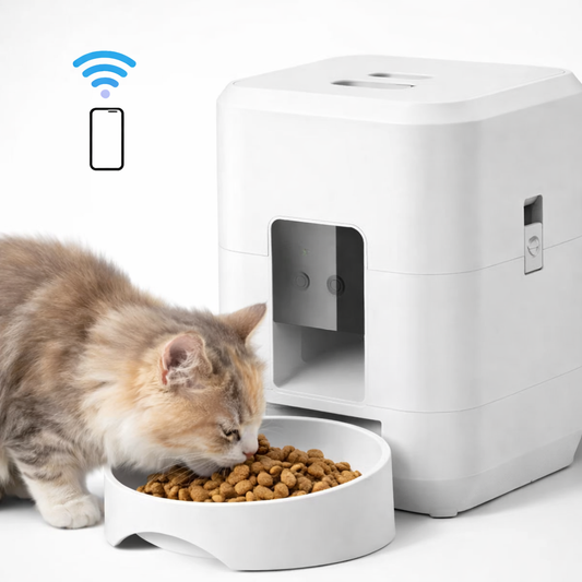 Distributeur de croquettes intelligent