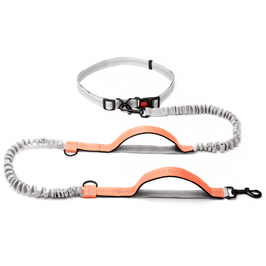 Hands-Free Dog Leash with Bungee Design & Reflective Strips