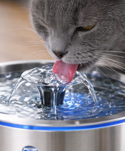 Fontaine à eau chat Inox 2,5L silencieuse
