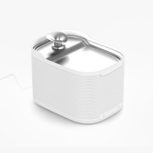 Fontaine à eau 2.5L pour chat