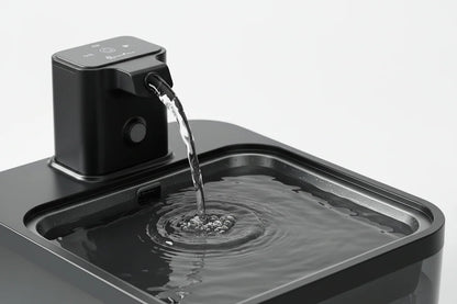 Fontaine à Eau pour Chat — Silencieuse & Filtrante