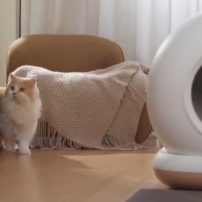 Clean Paw - Litière automatique pour chat